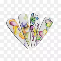 蝴蝶手指蝴蝶和飞蛾-蝴蝶-空若网 蝴蝶手指蝴蝶和飞蛾-蝴蝶-空若网