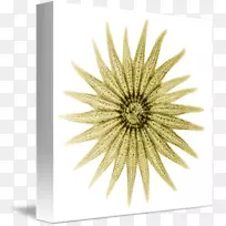 ������Ӱ������-��-������