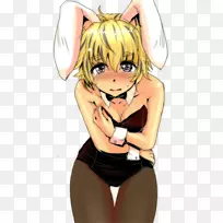 头侯项目博客桌面壁纸图片插图-兔子耳朵-空若网 头侯项目博客桌面壁纸图片插图-兔子耳朵-空若网