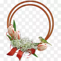 GIF������ͼƬpngͼƬ����-����-������