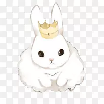 �ÿɰ���ͼ����Ұ��-������