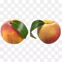 ���������һ�������-������