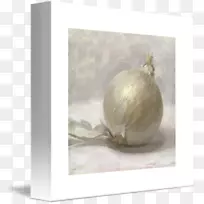 静物摄影-洋葱水彩-空若网 静物摄影-洋葱水彩-空若网