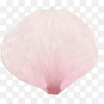 萨凡纳艺术设计学院墨尔本机场资产-空若网 萨凡纳艺术设计学院墨尔本机场资产-空若网