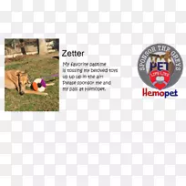 广告品牌-血库-空若网 广告品牌-血库-空若网