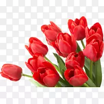 郁金香花夹艺术-花束PNG-空若网 郁金香花夹艺术-花束PNG-空若网