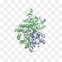 产品树塑料字体-智人-空若网 产品树塑料字体-智人-空若网