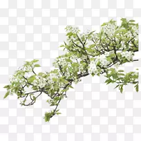 剪贴画-空若网 剪贴画-空若网