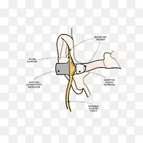 产品设计手指听觉设计-空若网 产品设计手指听觉设计-空若网