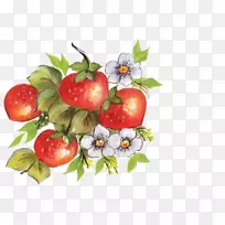 ��ݮ��-�ֻ��ݮ-������