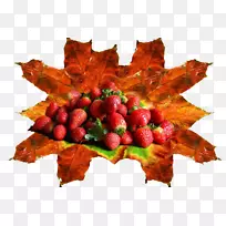 奥格里斯食物图像分辨率-新鲜草莓叶-空若网 奥格里斯食物图像分辨率-新鲜草莓叶-空若网