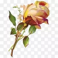 ������pngͼƬ����ͼ�񻨴���-������