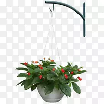 AdobePhotoshop���pngͼƬ�ṹ��԰���-������