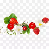 草莓阿摩罗多摄影集艺术手绘草莓-空若网 草莓阿摩罗多摄影集艺术手绘草莓-空若网