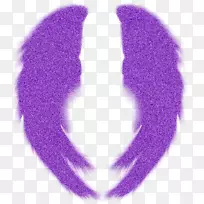 摄影辅助图像扫描器-翅膀-空若网 摄影辅助图像扫描器-翅膀-空若网