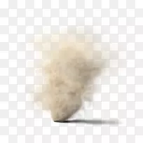 毛皮鼻子动物-动物-空若网 毛皮鼻子动物-动物-空若网