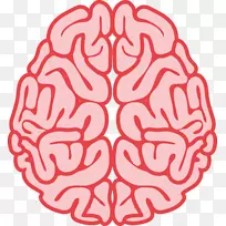 创伤性脑损伤神经科学-脑-空若网 创伤性脑损伤神经科学-脑-空若网