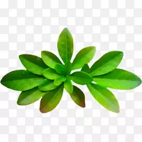 叶博客剪贴画-叶-空若网 叶博客剪贴画-叶-空若网