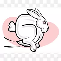 印度时装周拉克梅时装周兔子剪贴画-螺丝球剪贴画-空若网 印度时装周拉克梅时装周兔子剪贴画-螺丝球剪贴画-空若网