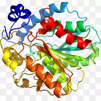 �������߲�ֲ�ﾥĵ����-�߲�-������