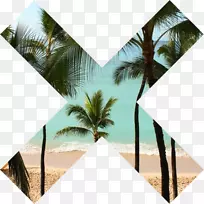 xx����-����-������