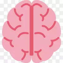 卡尔加里脑科学大学人脑研究-空若网 卡尔加里脑科学大学人脑研究-空若网