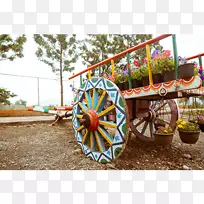 ���Ƴ���-������