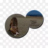 狗鼻子-舞蹈比赛-空若网 狗鼻子-舞蹈比赛-空若网