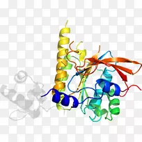 剪贴画插图图形设计昆虫-空若网 剪贴画插图图形设计昆虫-空若网