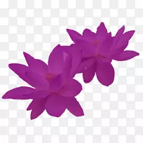 �˴�������������԰�����Ĵ�����-����-������