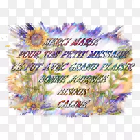 ����ֲ��ͼ������ֲ��.��-������