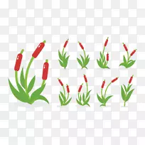 香蒲图形沼泽湿地水生植物.植物-空若网 香蒲图形沼泽湿地水生植物.植物-空若网