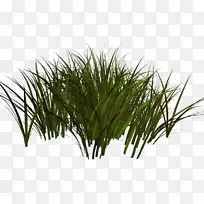 ������pngͼƬ�ݱ�ֲ������Photoshop-ֲ��-������