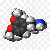 ��Ͱ���ѧ����Ƥ�����ѧ�񾭵���-��ѧ��-������