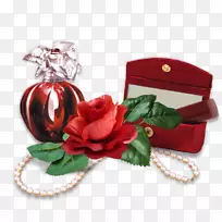 ��ʥ�������������ٺ�ˮ��ֲ��.����-������