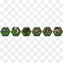 绿色产品草本植物茎家族-俯瞰人类-空若网 绿色产品草本植物茎家族-俯瞰人类-空若网