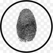 线条艺术树字体树-空若网 线条艺术树字体树-空若网