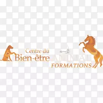 ����־�����̱�-�����־-������