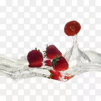 静物摄影奥格里斯花画-含羞草-空若网 静物摄影奥格里斯花画-含羞草-空若网