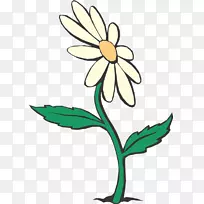 花卉设计切花花瓣-WB-空若网 花卉设计切花花瓣-WB-空若网