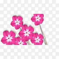 剪贴画,png图片,PSD,adobe,Photoshop,桌面壁纸-空若网 剪贴画,png图片,PSD,adobe,Photoshop,桌面壁纸-空若网