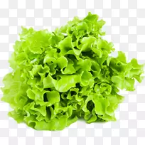 ?k fte�߲��������ʳˮ������-�߲�-������