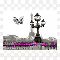 ���ͽ���԰�Ӳ����-���ʲ�-������