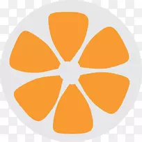 ë�İ¸���˹ũ���������鱨�֣��ն��ϵ�˹���׿������-Buah buahan-������