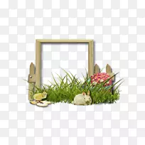 花卉设计画框草花点缀-空若网 花卉设计画框草花点缀-空若网