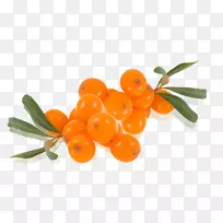 ����ɳ����֭pngͼƬ-������