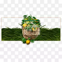 ��Ʒ��-Jugos��Ȼ-������