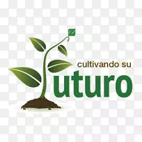 标志字体品牌产品-培养文化-空若网 标志字体品牌产品-培养文化-空若网