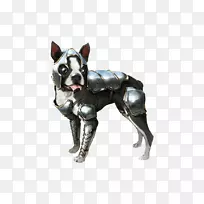 波士顿猎犬pax 2018 pax-东澳大利亚牧羊犬波士顿猎犬-空若网 波士顿猎犬pax 2018 pax-东澳大利亚牧羊犬波士顿猎犬-空若网