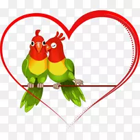 ��ɫ��ڵİ��������İ������ļ�������-���������-������